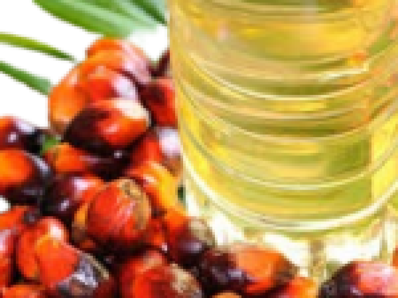 منتج 7